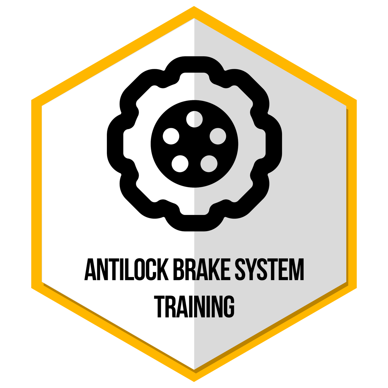 Antilock Brake ECU